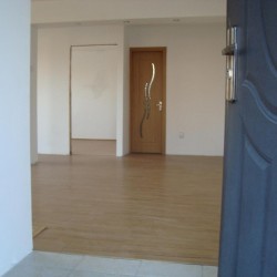 Casa Ieftina Duplex P+1 sup 256mp ideala 2,3 familii in Bucuresti